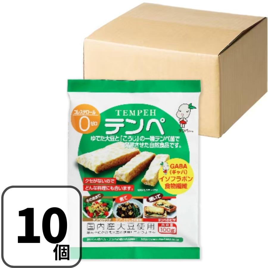 マルシン テンペ 100g×10袋 大豆発酵食品 発酵食品 インドネシア伝統料理 テンペ菌 健康食品 ダイエッ..