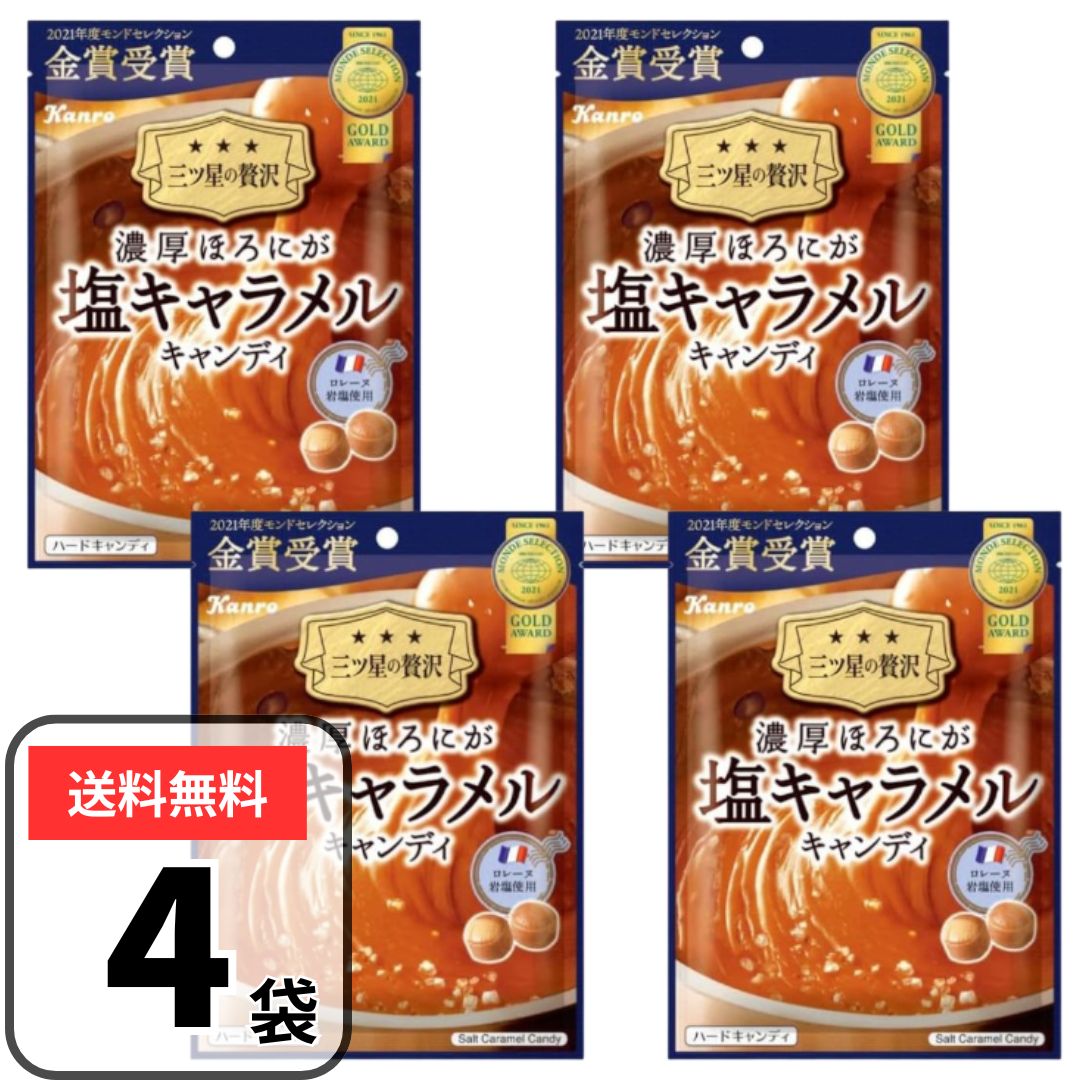 キャンディ カンロ 濃厚ほろにが 塩キャラメルキャンディ 4袋 飴 キャンディー フランス産 岩塩使用