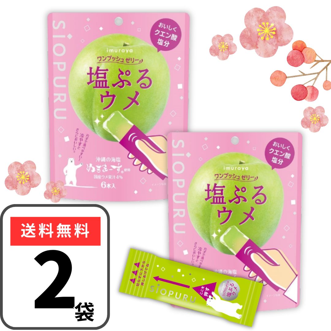 פ륦 ¼ ץå奼꡼ 2ޡ15g 62˸  ꡼ ʬ ץ ߥ꡼