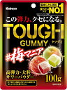 カバヤ食品 タフグミ 梅マニア 100g×6袋 グミ ぐみ ハードグミ 期間限定 お菓子 高弾力 歯ごたえ 噛みごたえ 大粒 弾力 梅 うめ ウメ 小腹 リフレッシュ 集中