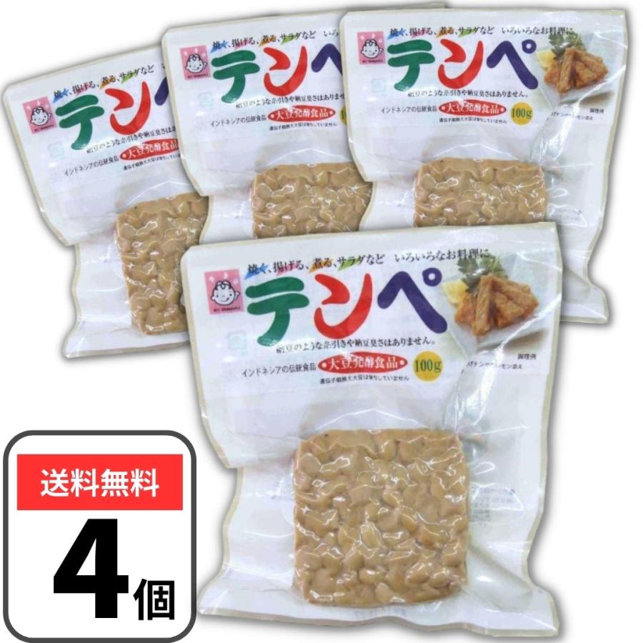 ヤマク食品 テンペ 100g 4袋セット 大豆 テンペ菌 発酵食品 大豆発酵食品 スパウトパック ダイエット食..