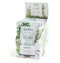 【送料無料】GRON グロン プロテインブレンド 12包 Box（グリーンモンスター) / 240g (20g x 12pcs)