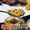 【オリジナル 特製】粒マスタード 100g×3本セット 自家製 調味料 マスタード チャーシュー 焼き豚 浅草 叉焼 ワイン おつまみ 洋食 ホットドッグ ハンバーガー ソース グルメ ギフト 贈り物 プレゼント お中元 お歳暮 肉 肉料理 おいしい 取り寄せ お土産 冬 バレンタイン