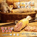 旨味凝縮「 自家製 ドライ サラミ 」1本 100g 〜 130g おまとめセットがオトク 国産豚使用