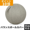 バランスボール 【ポイント10倍】GronG(グロング) バランスボール カバー 直径55cm対応