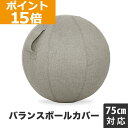 【ポイント15倍】GronG(グロング) バランスボール カバー 直径75cm対応