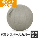 バランスボール 【ポイント20倍】GronG(グロング) バランスボール カバー 直径55cm対応