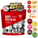 【24日20時~ポイント5倍&500円クーポン/条件有】グロング プロテイン ホエイプロテイン 3kg スタンダード 風味付き ナチュラル ビタミン11種配合 GronG 置き換え ダイエット タンパク質 サプリメント アミノ酸スコア100 美味しい 送料無料 ポイント