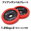 GronG(グロング) アイアンダンベル プレート 追加 セット バーベル 1.25kg×2 計2.5kg ラバー付き シャフト径28mm