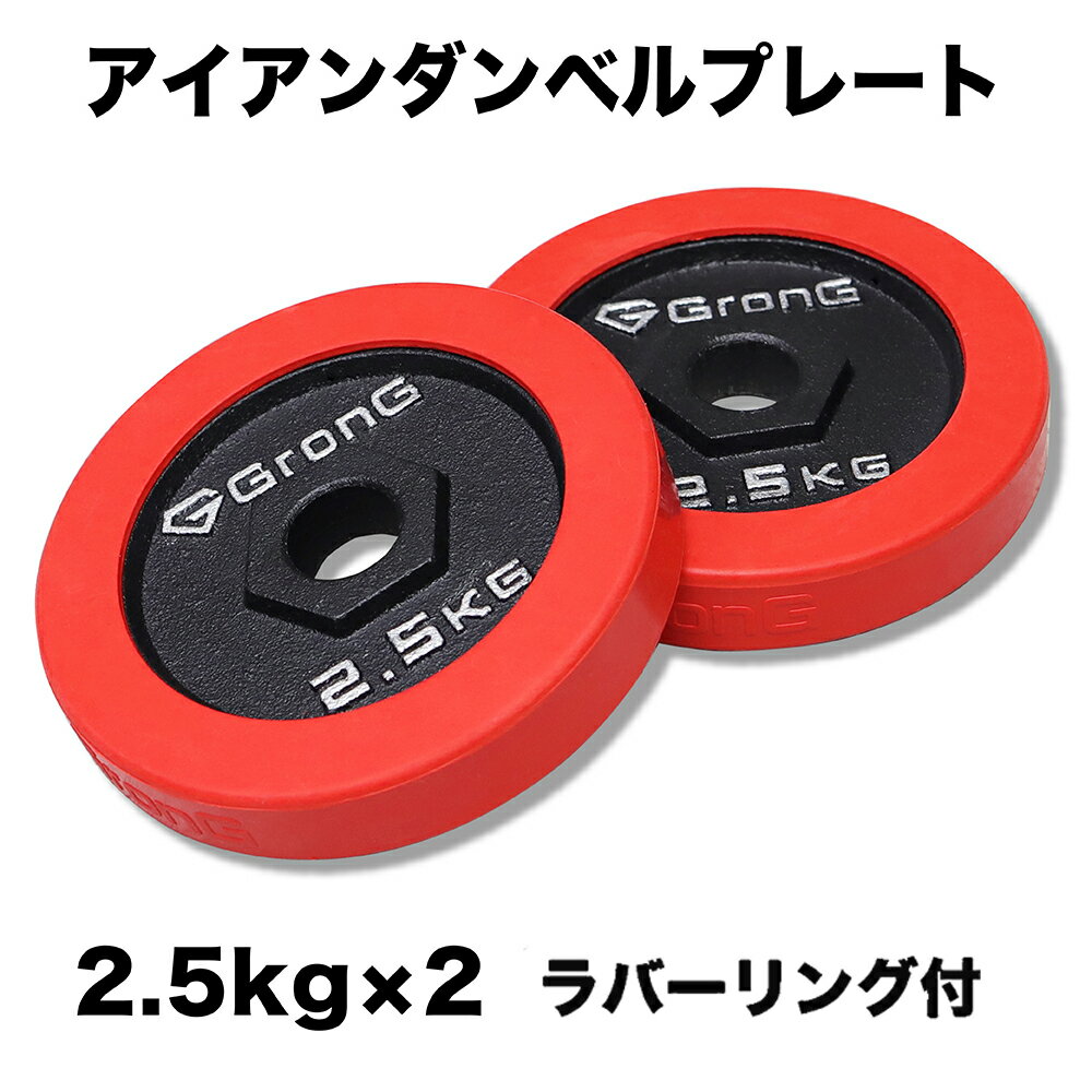 【5日はポイント20倍】GronG(グロング) アイアンダンベル プレート 追加 セット バーベル 2.5kg×2 計5kg ラバー付き シャフト径28mm