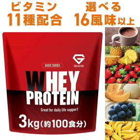 【25日はポイント15倍】グロング プロテイン ホエイプロテイン 3kg ベーシック 風味付き ビタミン11種配合 GronG 置き換え ダイエット タンパク質 サプリメント アミノ酸スコア100 美味しい 送料無料