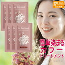 【7/30限定 店内全商品 P5倍】【2セット=6包分】【公式】お試し60gラフルールカラートリートメントDB 20g×3包 ダークブラウン 白髪染め ヘアケア...