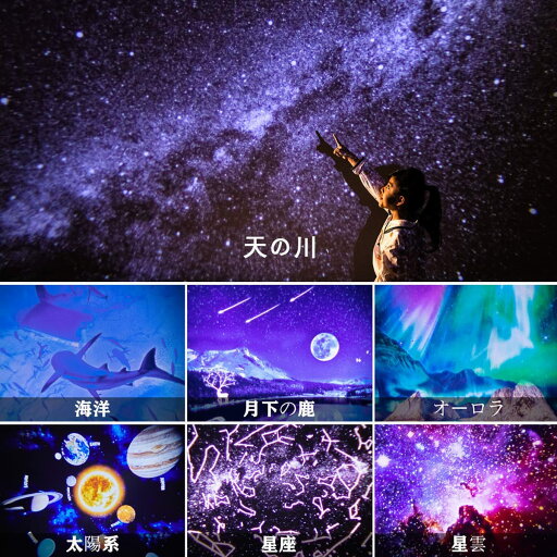 PW730 Acer/エイサープロジェクター用 純正バルブ採用ランプユニットEC.J2901.001 【送料無料】【120日保証付】納期1週間〜