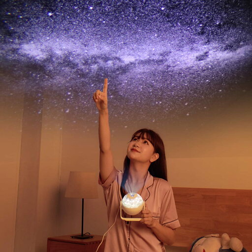 PW730 Acer/エイサープロジェクター用 純正バルブ採用ランプユニットEC.J2901.001 【送料無料】【120日保証付】納期1週間〜