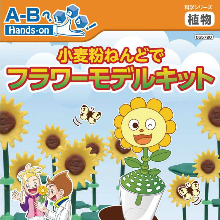 ハンズオンラボシリーズ　科学・工作 小麦粉ねんどでフラワーモデルキット 植物の構造や、成長の仕方をモデルを使って学習します。 ・対象年齢：高学年 ・材質：LDPE・PET・PE・コート鉄 管理ID「at55720」