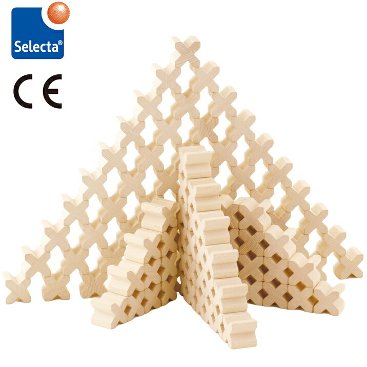 セレクタ 木のおもちゃ 知育玩具 積み木 積木 エックスブロック 100pcs X-BLOCKS 木製玩具