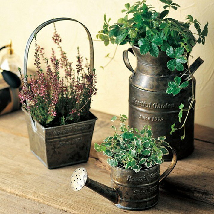 �ץ�󥿡� �֥ꥭ ������� �ݥå� ����ƥ����� ���礦���� ���硼���� 3��ȭ �ץ�󥿡����С� ȭ���С� ����ץ� �֥ꥭȭ ����ȭ ���襤�� �ե�����󥸥��� �ִ� ����ݡ���