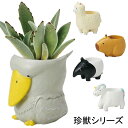 ミニミニレジンポット 珍獣 1号鉢 1号ポット 多肉植物 プリザーブドフラワー ピンクッション 印鑑入れ かわいい ハシビロコウ カピバラ マレーバク アルパカ...