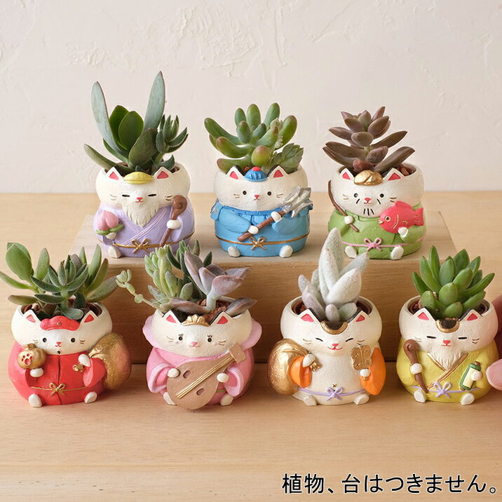 樂天商城 - ミニミニレジンポット リトルレジンポット 七福猫 7個セット 七福神 ねこ 1号鉢 1号ポット 多肉植物 プリザーブドフラワー ピンクッション 印鑑入れ かわいい フラワーアレンジメント 花器