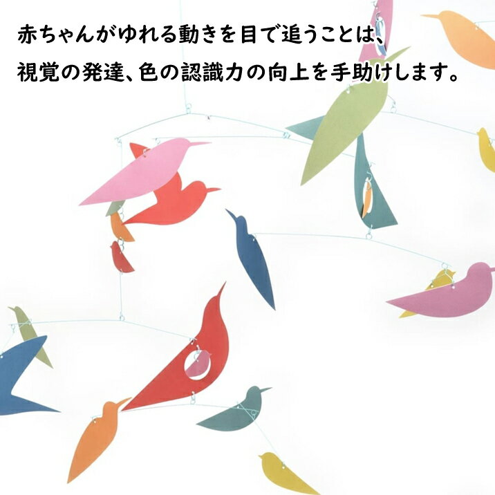 DJECO ������ ��ӡ��� �С��� �ޥ�����顼 Ļ �٥åɥ�꡼ ������� ���襤�� �ΰ��� ����ե�