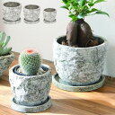 プランター おしゃれ セメントポット ラギットストーンポット 多肉植物 観葉植物 受け皿付き プレミアム ホワイト 3号鉢 3.5号鉢 4号鉢 5号鉢 石モチー...