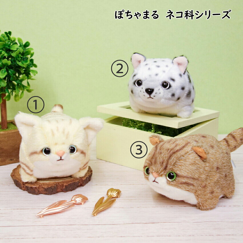 Rakuten - ぽちゃまる ぬいぐるみ S スナネコ ユキヒョウ ツシマヤマネコ ネコ科シリーズ 野生猫 ねこ かわいい