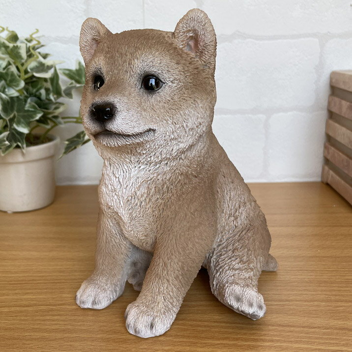 Rakuten - 犬の置物 柴犬 シバ いぬ オブジェ ドッグオーナメント かわいい インテリア雑貨