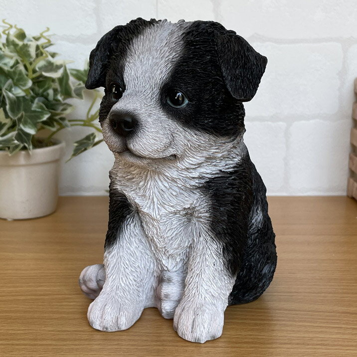 Rakuten - 犬の置物 ボーダー・コリー いぬ オブジェ ドッグオーナメント かわいい インテリア雑貨