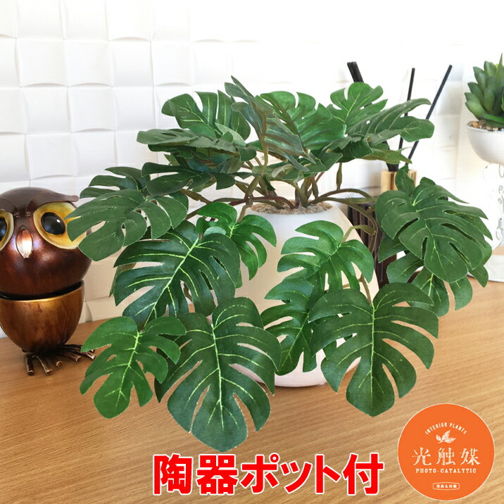フェイクグリーン ミニ モンステラ 光触媒 陶器ポット付 人工観葉植物 リアル かわいい 造花 ホワイトポット
