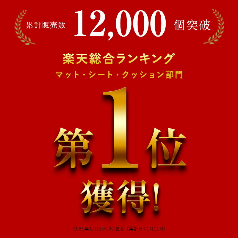 SALE 【 累計12000個突破 】チャイルドシート マット カバー 保護 マット ジュニアシート カーシートカバー 車 汚れ 子供 こども 防止 傷防止 収納ポケット付 ペット ジュニアシートマット マット 座席カバー カーシート 車保護 ISOFIX対応 母の日 柊 3