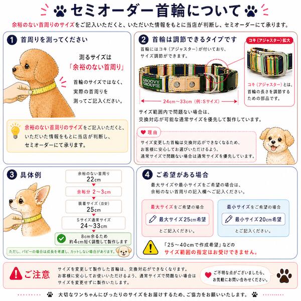 大型犬用ダブルDカン首輪とリードのセット