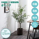 ・最大10,000円OFFクーポン光触媒人工観葉植物 fake green オリーブ(約)幅60cm×奥行60cm×高さ125cm照明光が当たることで消臭・抗菌・防汚・ホルムアルデヒド分解の効果を発揮フェイクグリーン 造花 水やり不要 空気清浄 イミテーショングリーン