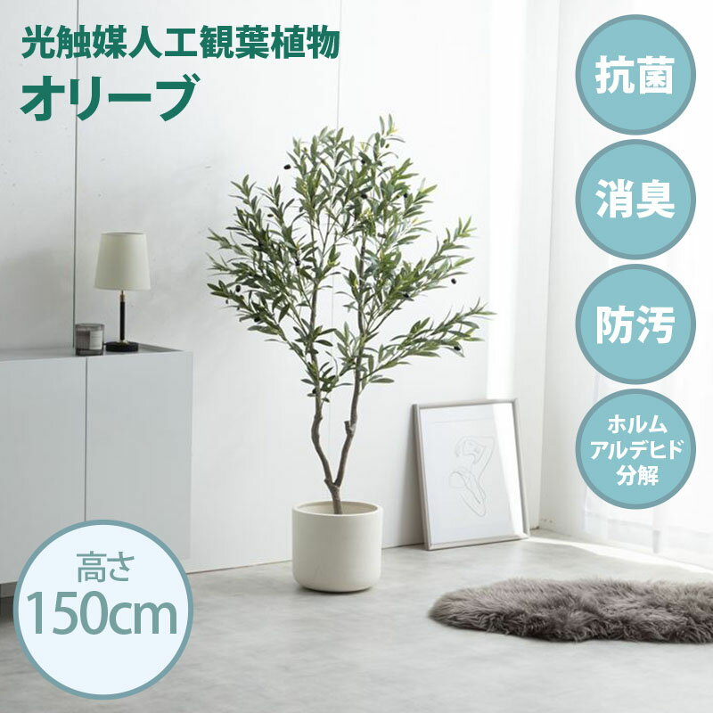 ・クーポン祭り開催中！光触媒人工観葉植物 fake green オリーブ(約)幅55cm×奥行45cm×高さ150cm照明光が当たることで消臭・抗菌・防汚・ホルムアルデヒド分解の効果を発揮フェイクグリーン 造花 水やり不要 空気清浄 イミテーショングリーン