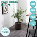・最大10,000円OFFクーポン光触媒人工観葉植物 fake green オリーブ(約)幅35cm×奥行35cm×高さ85cm照明光が当たることで消臭・抗菌・防汚・ホルムアルデヒド分解の効果を発揮フェイクグリーン 造花 水やり不要 空気清浄 イミテーショングリーン