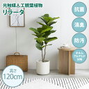 ・最大10,000円OFFクーポン光触媒人工観葉植物 fake green リラータ(約)幅80cm×奥行48cm×高さ120cm照明光が当たることで消臭・抗菌・防汚・ホルムアルデヒド分解の効果を発揮フェイクグリーン 造花 水やり不要 空気清浄 イミテーショングリーン