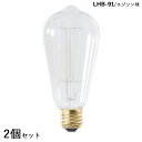 エジソン電球 AZ-LHB-91【2個セット】サイズ:直径6.4×高さ14cm仕 様:口金/E26 消費電力/60W