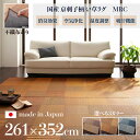 商品名 国産 い草ラグ MRC 畳ラグ 夏ラグ い草カーペットサイズ 幅261 奥行352cm日本製 イ草 TATAMI タタミ たたみ ラグマット軽量 傷防止 防臭 ひんやり 和モダン おしゃれ 絨毯和室 和風 モダンデザイン ゴザ 寝ござ 寝ゴザ 夏ラグマット 夏用 北欧(3)