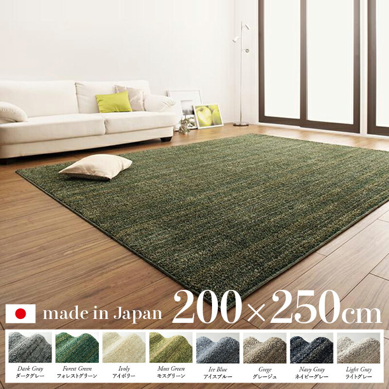 261 cm X 352 cm - 商品名 ラグ RYS カーペット 国産 日本製サイズ 幅250 奥行200cm手洗い可能 ラグマット 超極細繊維使用軽量 傷防止 さらふわ 子供部屋 和モダン おしゃれ 絨毯和室 和風 モダンデザイン 送料無料 北欧
