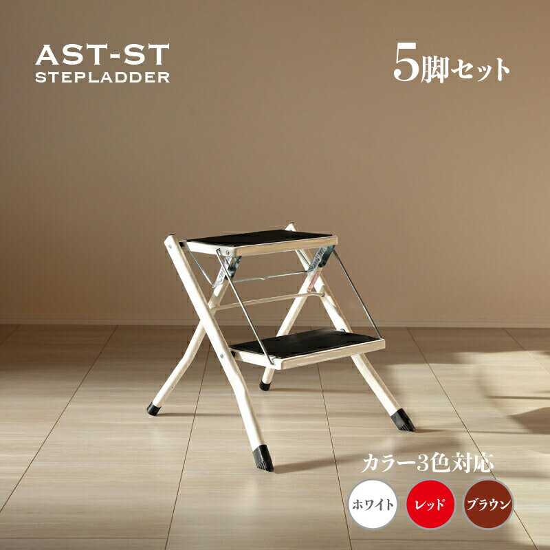 5ӥåȡAST-SP Ω ޤꤿ Ƨ 2ʥۥ磻 / å / ֥饦ࡡ /ݥץԥ󥵥 42 ...