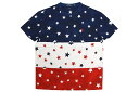 POLO RALPH LAUREN CLASSIC FIT COTTON GRAPHIC S/S T-SHIRT (710743921001:AVIATOR NAVY/MULTI)ポロラルフローレン/ショートスリーブティーシャツ/アビエーターネイビー×マルチ