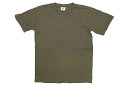 COMFORT COLORS ADULT T-SHIRT (SAGE)RtH[gJ[Y/V[gX[ueB[Vc/Z[W