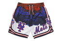 PRO STANDARD NEW YORK METS TEAM SHORTS (LNM331772:RWB)vX^_[h/j[[Nbc/by/|GXeV[c