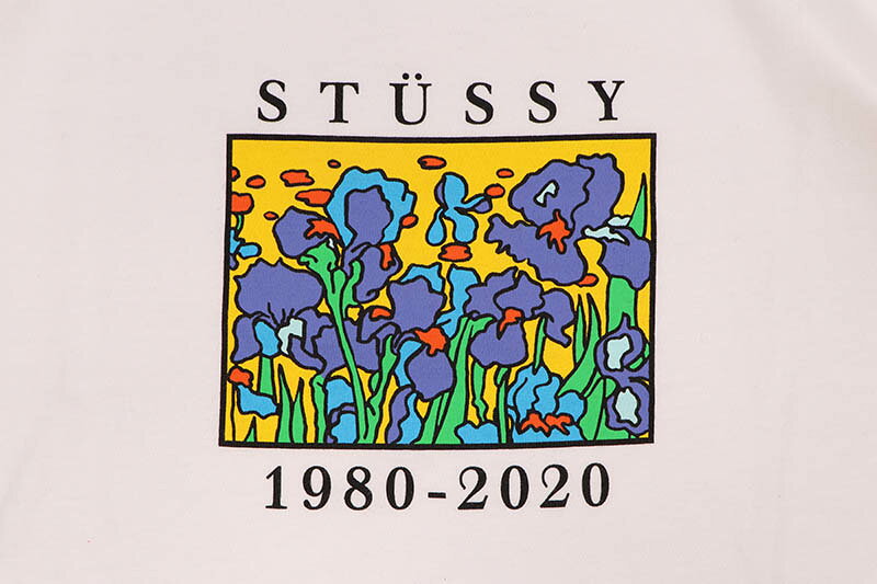 STUSSY IRISES TEE (WHITE) 1904624ステューシー/ショートスリーブTシャツ/ホワイト