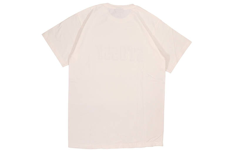 STUSSY 3D COLLEGIATE PIGMENT DYED TEE (NATURAL) 1904634ステューシー/ショート...