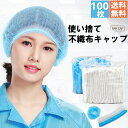 【100枚セット】不織布 キャップ ヘアキャップ 使い捨て ネットキャップ ケアキャップ 衛生帽子 クリーンキャップ 業務用 不織布キャップ 防護キャップ 飛沫...
