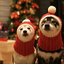 犬 ニット帽 秋冬 ペット帽子 コスチューム コスプレ 被り物 かぶり物 サンタクロース 猫 犬 クリスマスウェア クリスマス コス 防寒 ファッション 小物 ニット ボンボン付き 小型犬 中型犬(4)