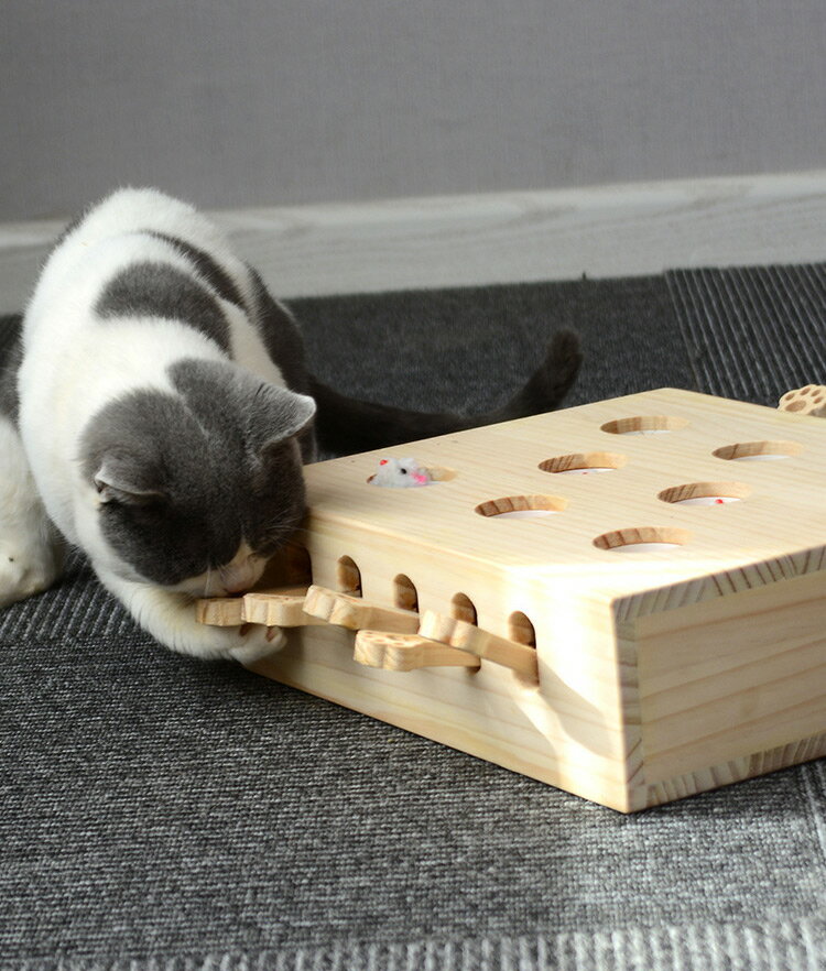 猫 おもちゃ ペットグッズ モグラ叩き 猫じゃらし ストレス解消 運動不足対策 ペットのおもちゃ もぐらたたき 低価格で大人気の 一人遊び ねこ 知育玩具 8穴 プレゼント 猫用品 楽しい ネコ ストレス発散 運動不足解消 猫のおもちゃ 遊ぶ 留守