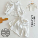 トップス ベビートップス 子供トップス 水玉柄 ホワイト 白 子供服 ベビー服 長袖Tシャツ カジュアル ナチュラル トップス 無地 丸襟 長袖Tシャツ 春 秋 6 73 80 90 100cm