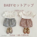 ベビー服 花柄 セットアップ 二点セット レース付き 子供服 女の子 キッズ 新生児 赤ちゃん 上下セット 半袖シャツ×パンツ 刺繍 かぼちゃパンツ 春夏秋用 写真用 ガールズ かわいい服 おしゃれ お宮参り お食い初め 記念撮影 入園式 簡単お着替え 66/73/80/90/100cm