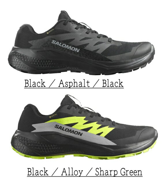 Salomon(サロモン)ALPHAGLIDE GORE-TEX